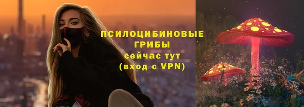 ПСИЛОЦИБИНОВЫЕ ГРИБЫ Михайловск