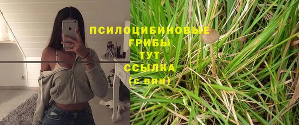 ПСИЛОЦИБИНОВЫЕ ГРИБЫ Михайловск