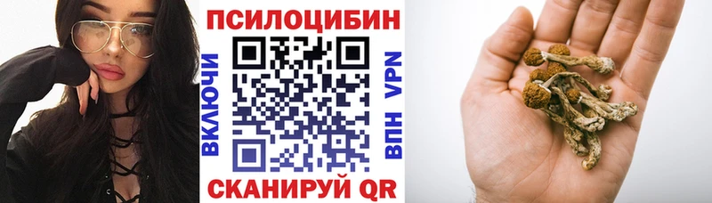 сколько стоит  Курлово  Псилоцибиновые грибы прущие грибы 